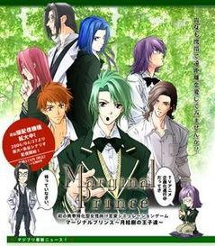 男后宫动漫,穿越时空的浪漫传奇