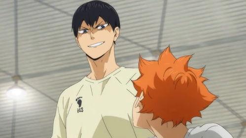 和排球少年类似的动漫,梦想之翼翱翔