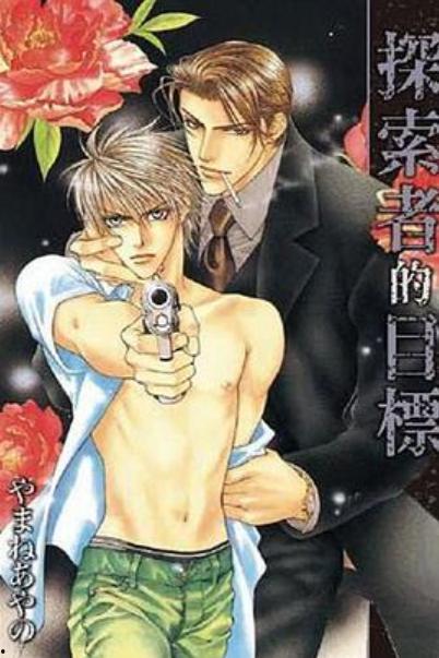 探索者的目标动漫,揭开目标动漫的神秘面纱