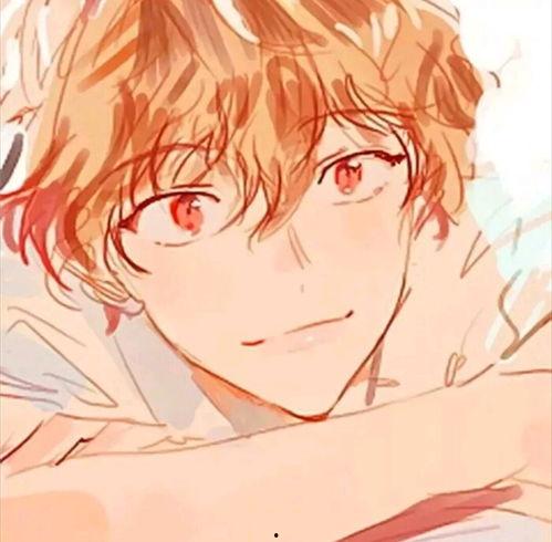 男操女动漫,探寻男性角色中的女性魅力